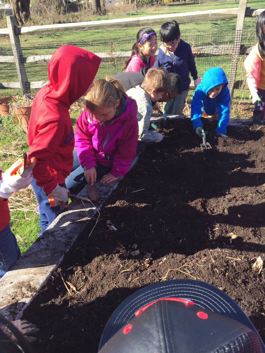 Mrs. McIndoe's Class tweet media