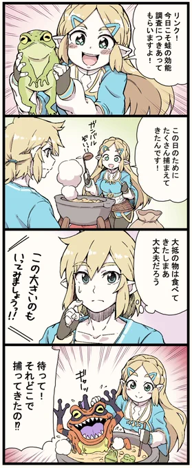 カエルの効能調査
#ゼルダの伝説ブレスオブザワイルド
#BreathoftheWild 