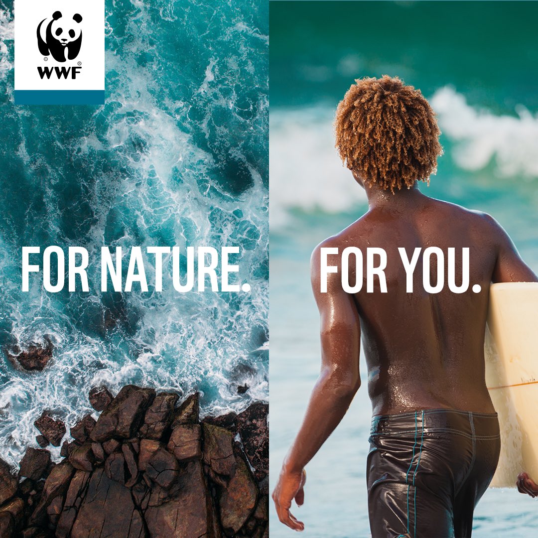 WWFSouthAfrica's tweet photo. Our oceans are vast and amazing. They provide up to 70% of Earth’s life-giving oxygen, are a
source of food, and an ever- changing place to play. By taking care of them, we ensure they
continue to support our livelihoods, and provide endless entertainment. 🌍🌊

#ForNatureForYou https://t.co/EWal6l3m1L