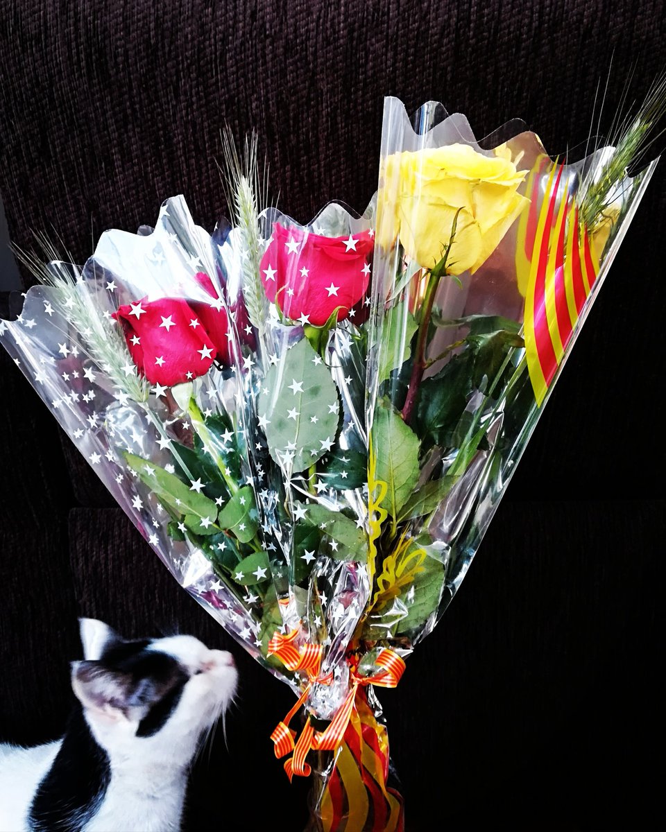Bona diada de Sant Jordi Catalunya!! #santjordi #diada #SantJordi2018 #Catalunya #Catalonia #LlibertatPresosPolítics #roses #rosesgrogues #rosesvermelles #SantJordi