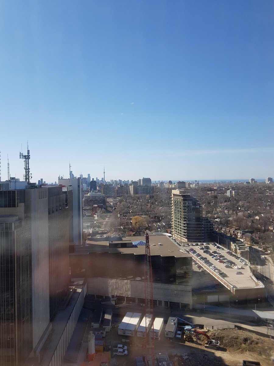 Laura_Couch tweet media