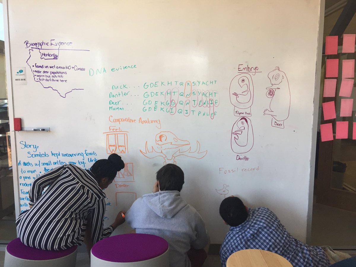 llohh2o's tweet photo. Piecing together the evolution of a fictitious duck with antlers - organism may be fake but the learning is very real! #smlearns https://t.co/AOPWMAt46f