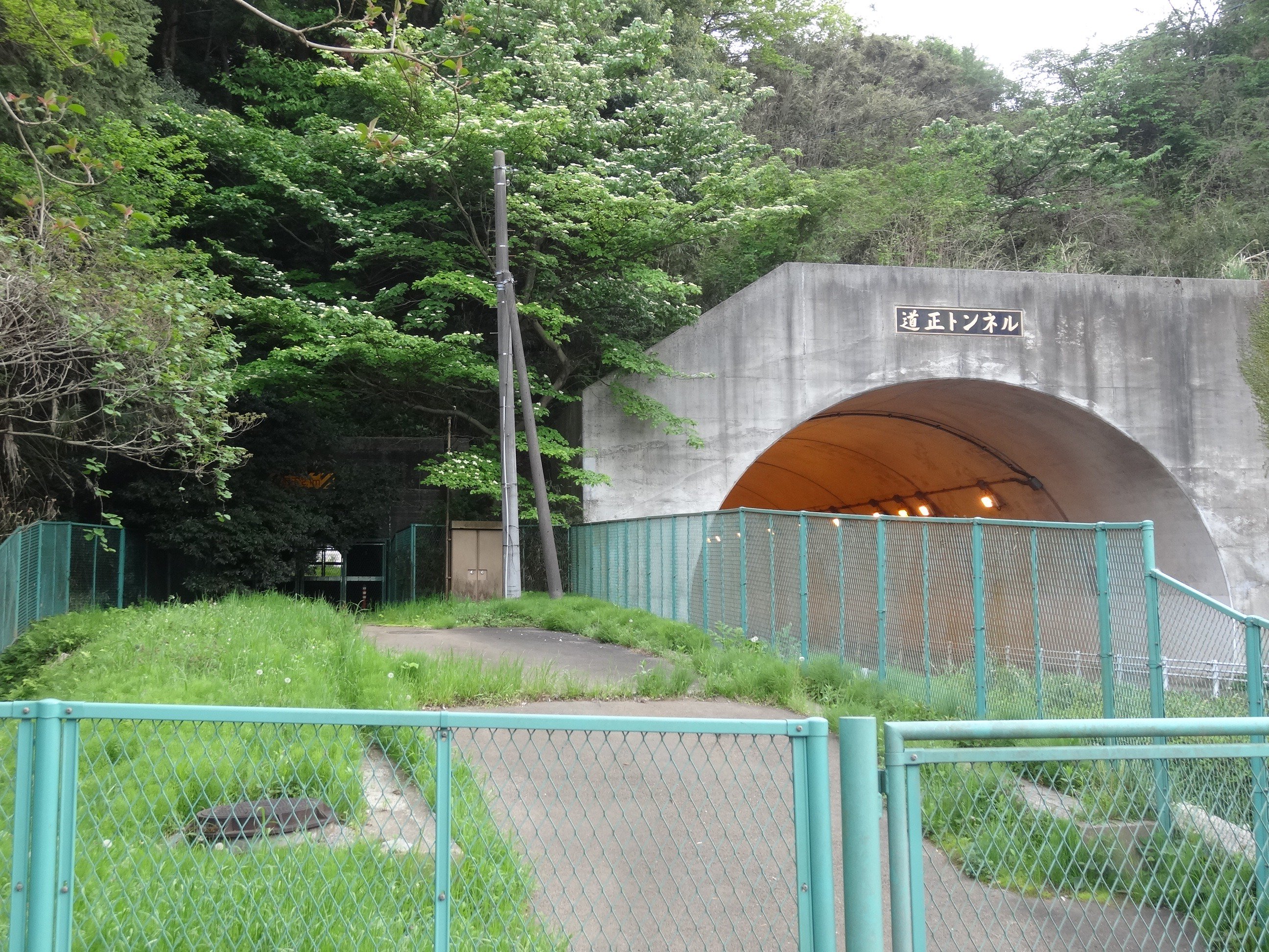 トンネル Twitter Search Twitter