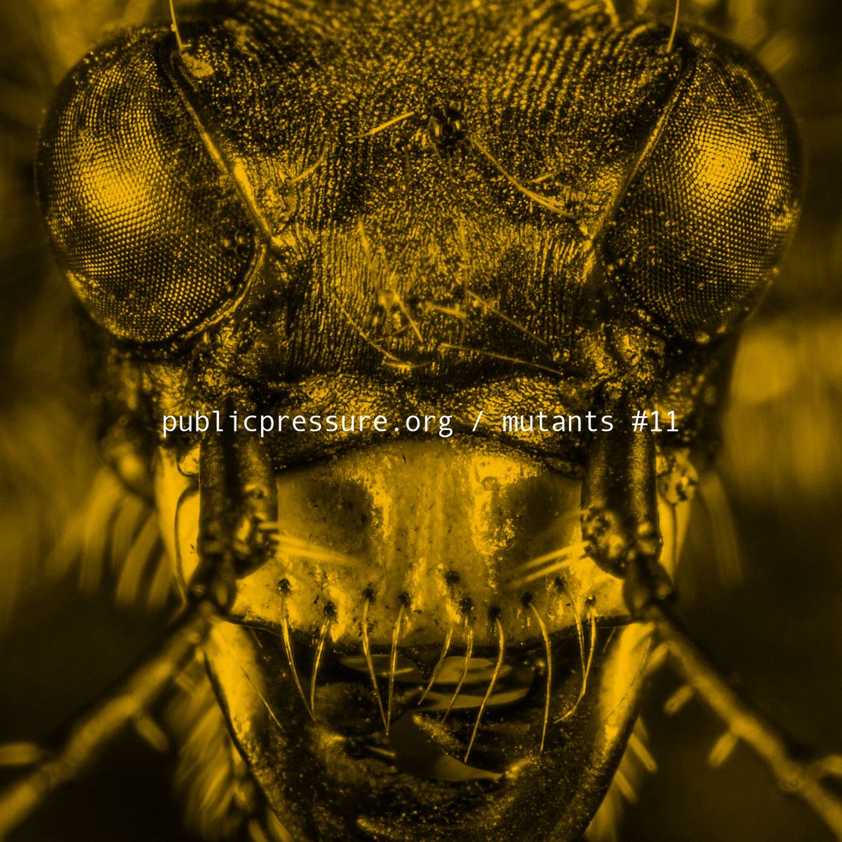 jointhepressure's tweet image. Who is breaking the rules in electronic music? A new playlist on the edge of sounds - Public Pressure #soundcloud #playlist #mutants 11 featuring @nottweetedof M.E.S.H. on @pan_hq @JackInOut @wheretonowsound @ryewax ow.ly/828O30jD0ZB