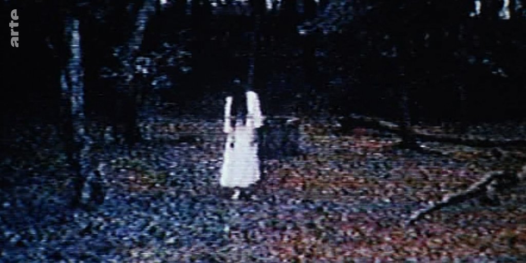 Ce tweet fonctionne comme dans #TheRing, si vous ne le partagez pas...vous allez recevoir de la visite ! ☠
arte.tv/tokyoparanormal 
#TokyoParanormal