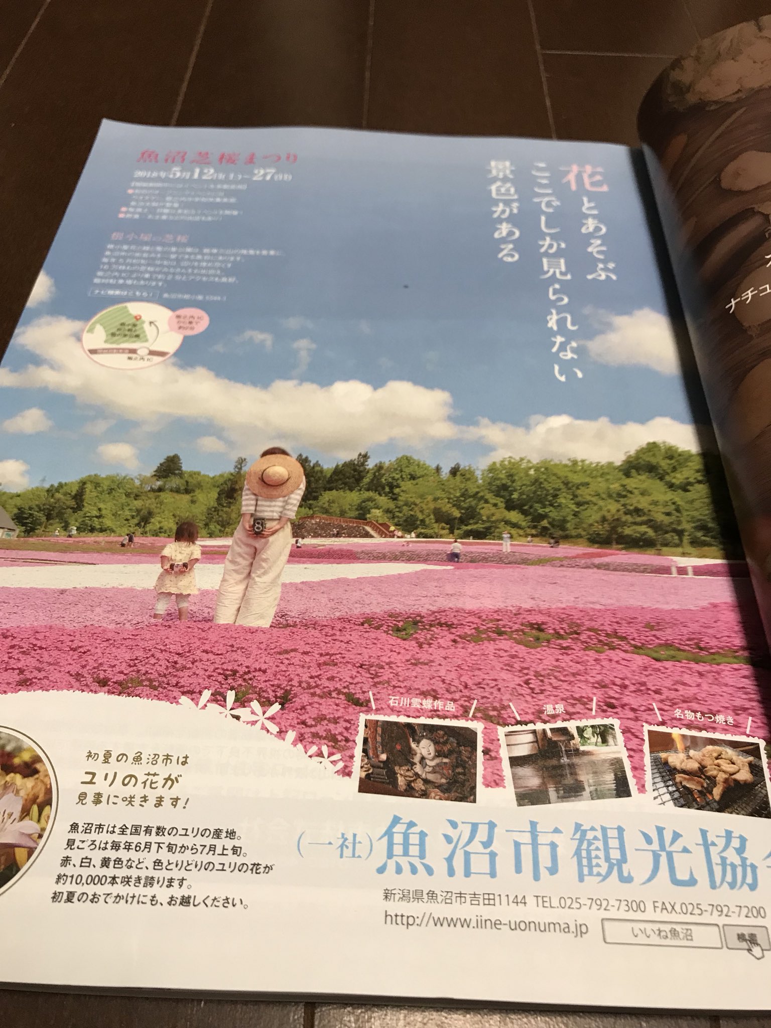 魚沼市観光協会 Twitter Search Twitter