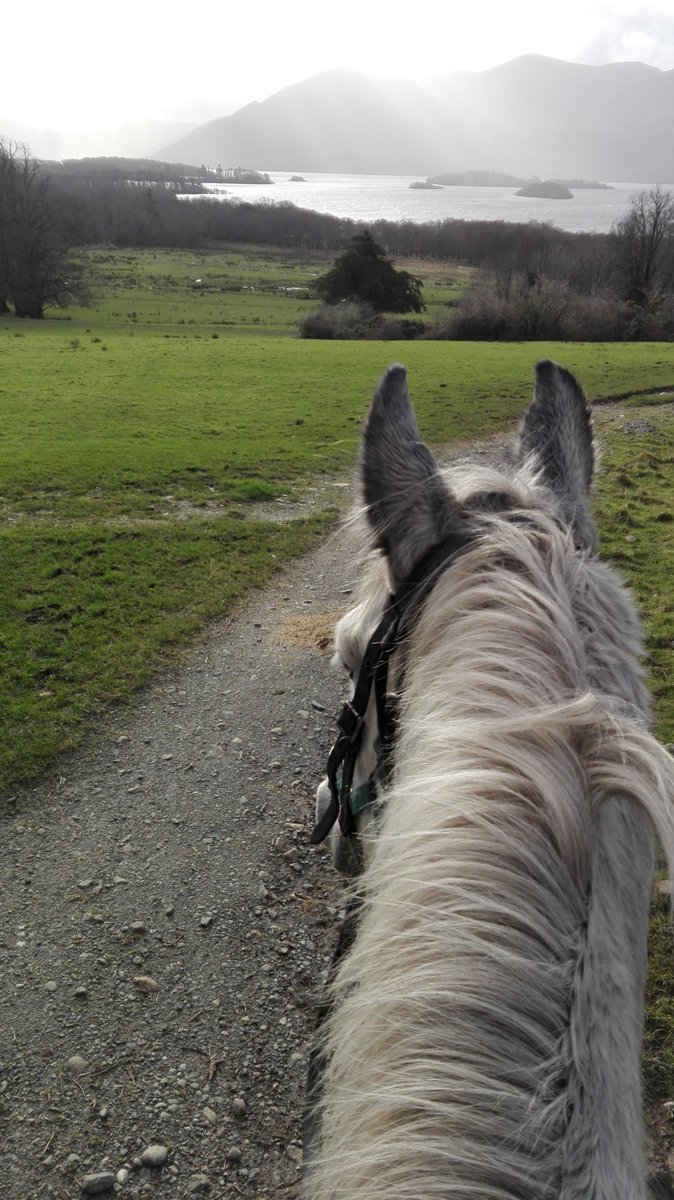Nothing better than to see the world from between the ears of a horse 💚🐴💚 #Robin #killarneynationalpark  #trailrides #killarneyridingstables