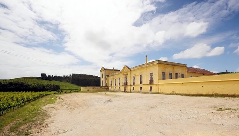 WineInPortugal's tweet photo. When it comes to visiting Portugal, there's no way around the wine produced here. While here, you cannot miss the chance to visit some of the country's most famous wineries. https://t.co/fw5gH4HITq https://t.co/84OhbIoKx6
