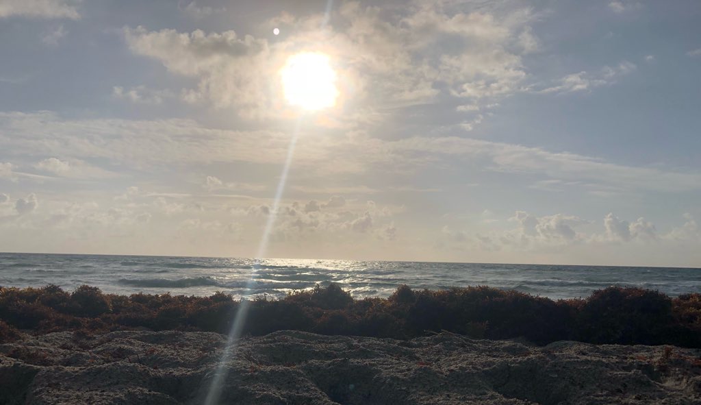 AzulYoga's tweet photo. Good Morning you Beautiful Souls! We’re here today to CELEBRATE this thing called LIFE. Pause and Breathe #pausingforpeace #sunrise #setenitynow #mindfulness #selfcare #mentalhealth
#GotPeace #AMPeace Join our #community on #periscope and #twitterlive #daily #yoga #meditation https://t.co/O6zqRjyfGF