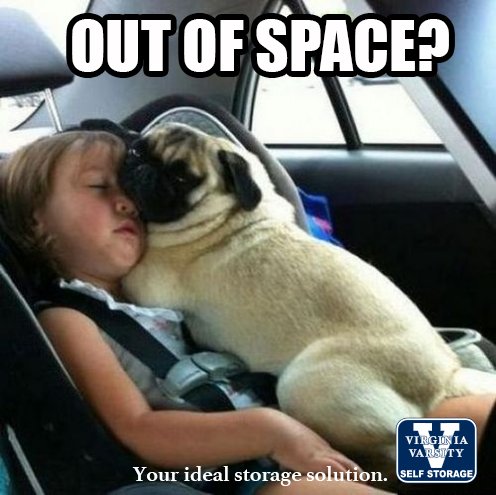 VirginiaVarsity's tweet photo. Sometimes cozy is good.... like these back seat snuggles.
Sometimes it's just a little too crowded -and in that case, there's Virginia Varsity Self Storage for all your storage needs. https://t.co/BuMYPFZSjM