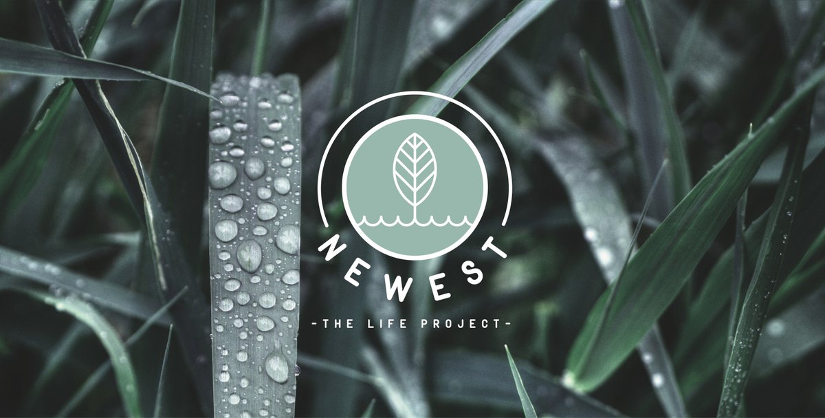 life_newest's tweet photo. En LIFE Newest apostamos la #Greentechnology más innovadora y respetuosa con el medio ambiente💧🌳
DESCUBRE el proyecto @LIFEprogramme ➜ https://t.co/tBkJ4fX4wl
#LIFEprogramme #LIFEproyect #greenlife #ClimateAction #Cleantech #WasteTreatment https://t.co/wq0QwIzuQV