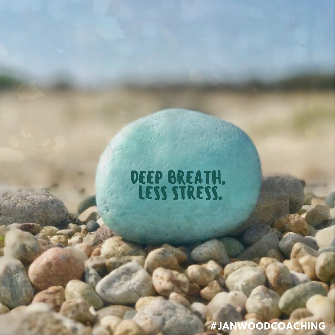JanWoodCoaching's tweet photo. Focus all of your attention on the inhale and exhale. Observe your breath without trying to adjust it. It may help to notice the rise and fall of your chest or the sensation of the breath as it enters and leaves your nostrils. 
#mindfulness #mindfulbreathing #relievestress https://t.co/8rrmDzSxru