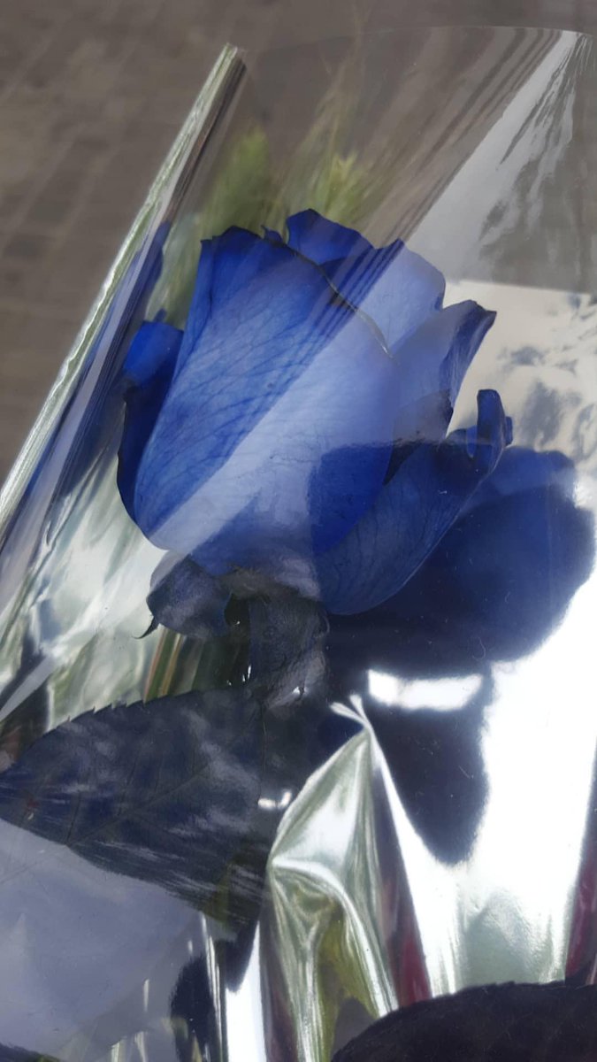 Hoy es Sant jordi para los muggles de Catalunya 
#SanJorge2018