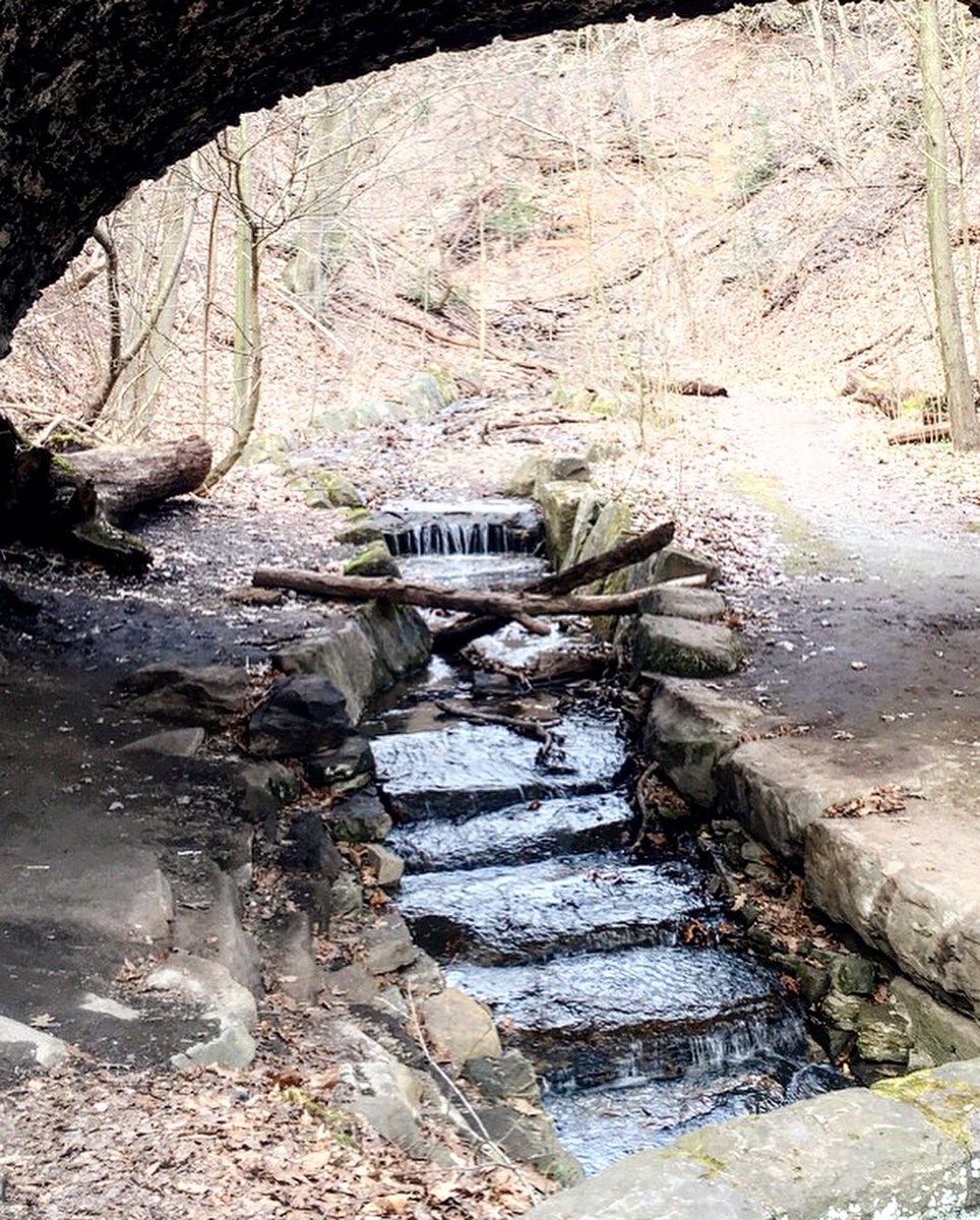 H2Psarah's tweet photo. Happy (belated) Earth Day!🌎 But every day should be Earth Day, and we’re lucky to be able to enjoy the beautiful outdoors and walking trails that we have right next to us at Schenley Park and Panther Hollow🌳🌤 https://t.co/pnhCbwbHlL
