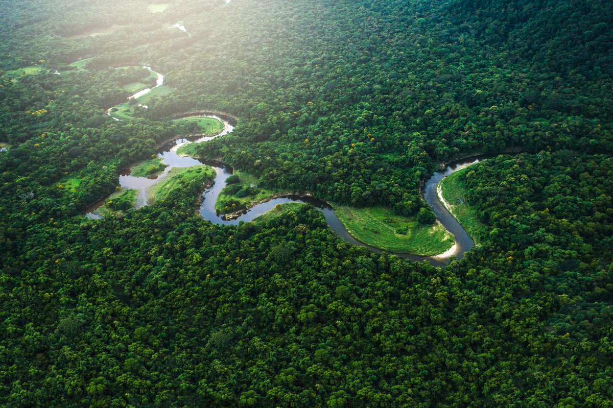 Discovery's tweet photo. Often referred to as, “the lungs of the planet,” rainforests play a huge role in absorbing carbon dioxide and producing oxygen. What is one way that you can better protect the “lungs” of our planet? ♻️ 🌍 #EarthDay https://t.co/G39yRqmAlD