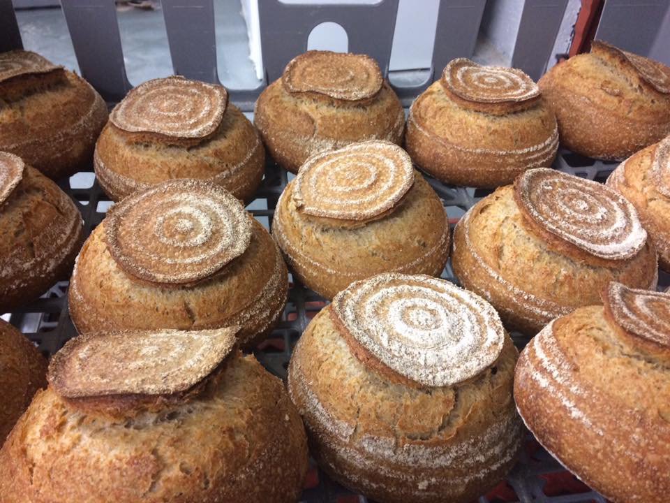 This Saturday Meet the Maker in Harvest brings you the wonderful produce of FAB Bakery Co and Pure Knead @freshartisanbread @purekneadwhitleybay