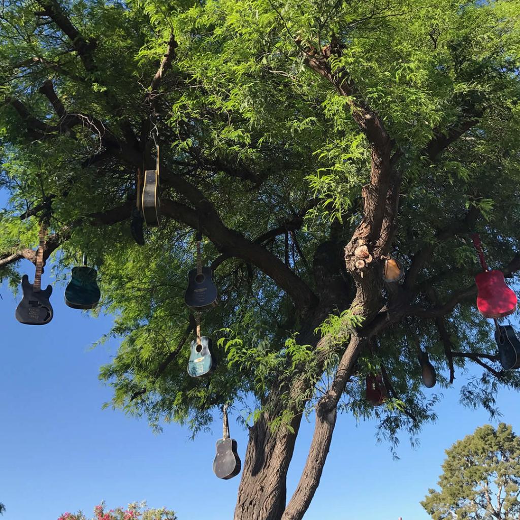 'El árbol de guitarras' un cuento de Mayte Guerrero elunicorniodepapel.com/musica/el-arbo…