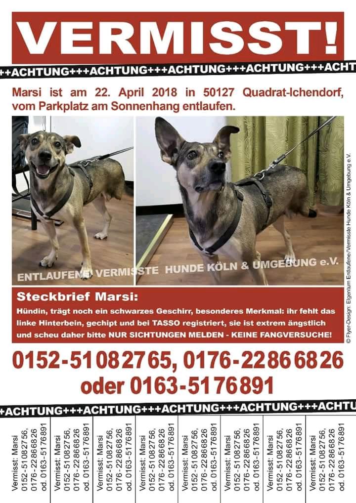 Babsi58089's tweet image. #Köln Umgebung #vermisst #Marsi