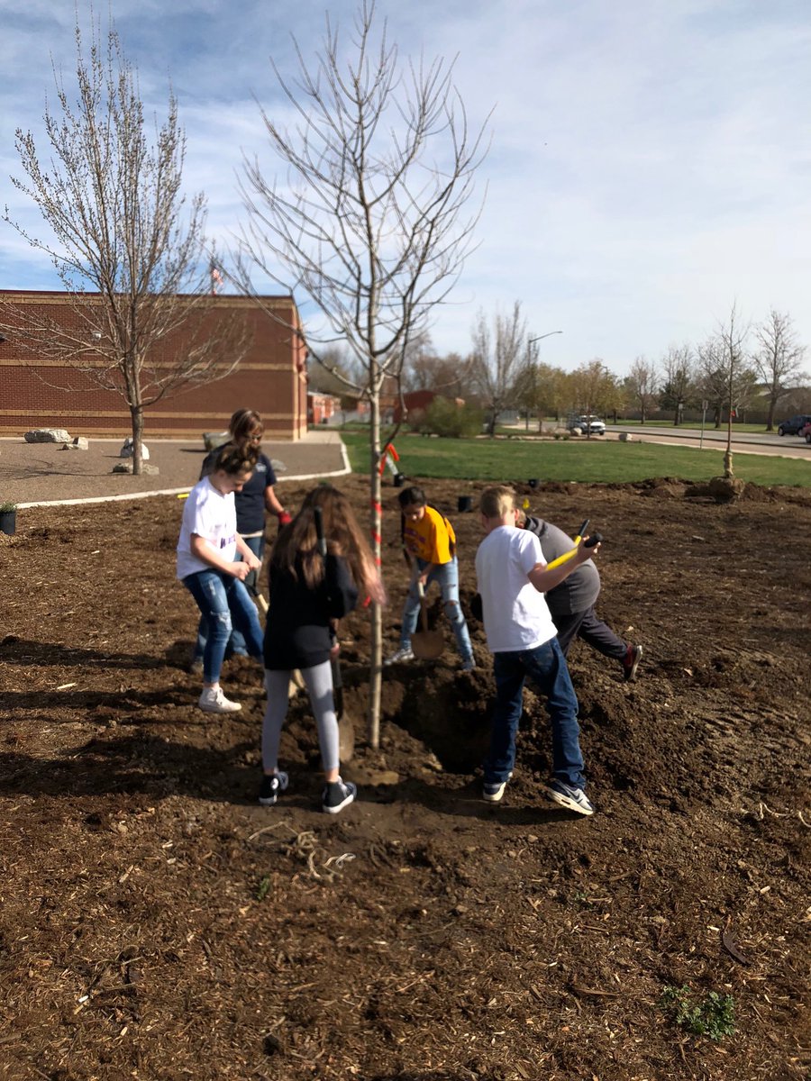Stan_31's tweet image. In cooperation with our 3 local Rotary Clubs we are planting trees &amp;amp; plants at several of our school sites. Thank you Rotary!!!!