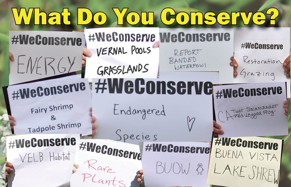 USFWSSac's tweet photo. ⚡️Special thanks to all the #WeConserve participants! Together we're making a difference. See all the creative tweets & beautiful photography from our partners & friends in our Twitter Moment https://t.co/vGG2PwNLXL 🌏🌍🌎
@wesmitigation @DUSouthernNews @DUSouthernNews https://t.co/Fouv2T3JDa