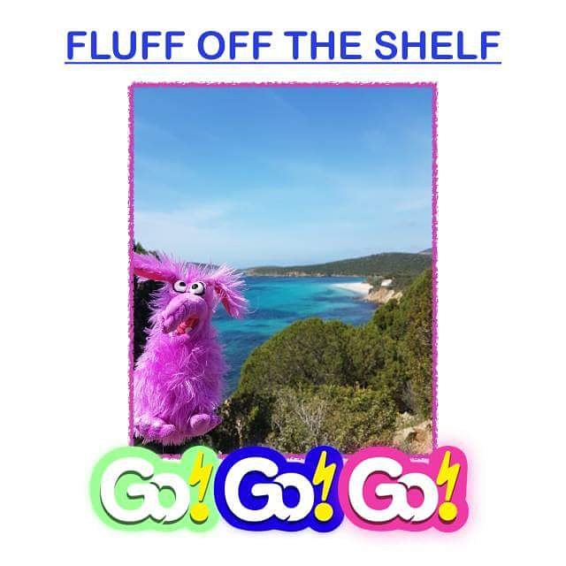 FLUFF OFF THE SHELF I'm just back from Sardinia! I went to a restaurant &amp; asked for socks in Italian - 'calzini' but they brought me a bread roll instead. It was OK as I like rolls too. Are you going on holiday this year? Where are you going? Love, Fluffalope xxx