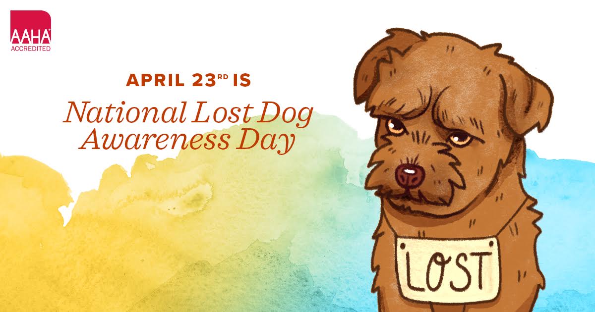 Halifaxvets's tweet photo. Today is National Lost Dog Awareness Day. Are your pets microchipped? It's one way we can help get them back if they are lost. 🐾 #NationalLostDogAwarenessDay https://t.co/MhZ1W4t4pW