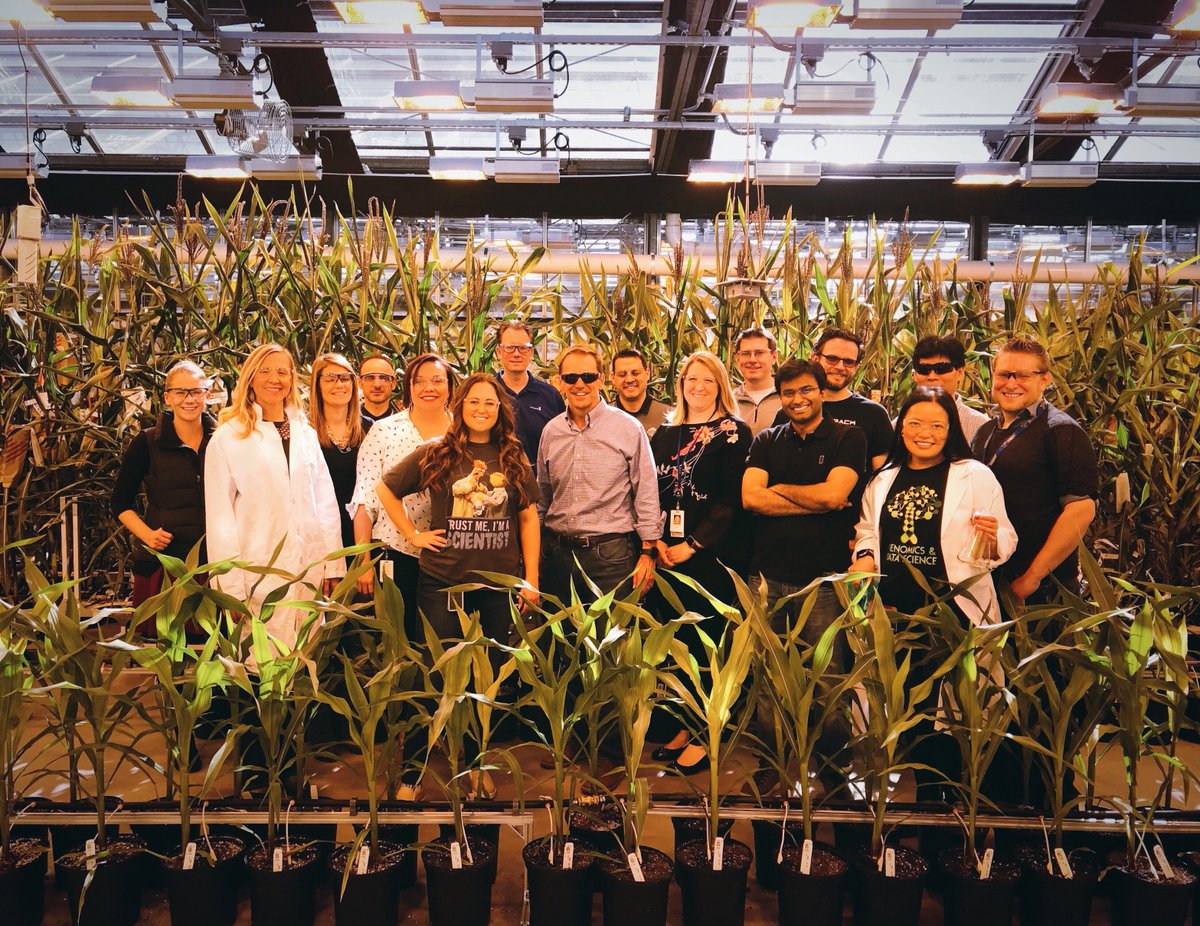 In #PlantBreeding, this is our lab! Celebrating #WorldLabDay in one of our many greenhouses at @MonsantoCo 🌱
