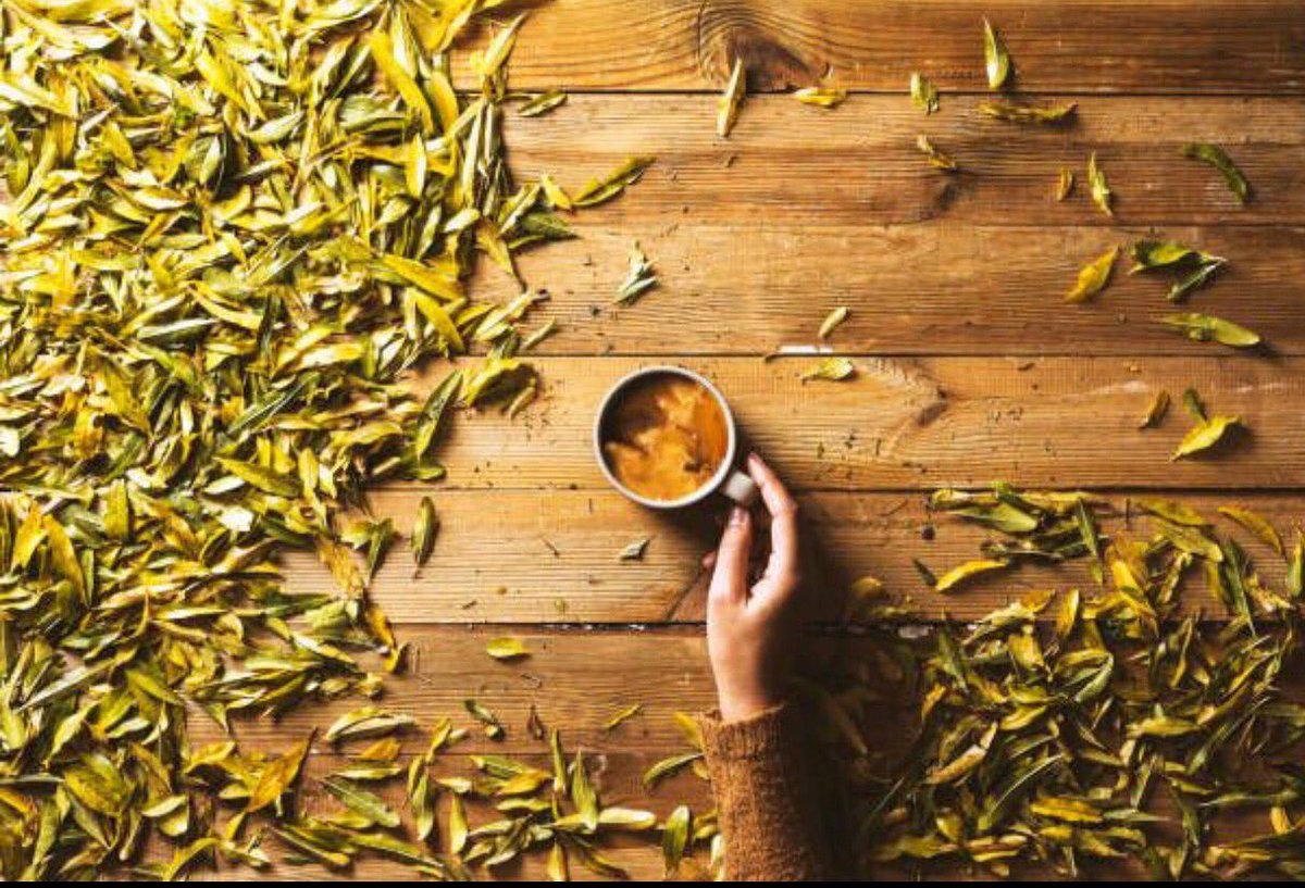 TIFIDIN's tweet photo. “Don’t try to force anything. Let life be a deep let-go.  God opens millions of #flowers every day without forcing their buds.” —Osho  ☕ April is #stressawareness month and we would like to remind you to #silence the outside noise and return to  your happy place 🙏 #moTEAvation https://t.co/Gt7IoOwQwr