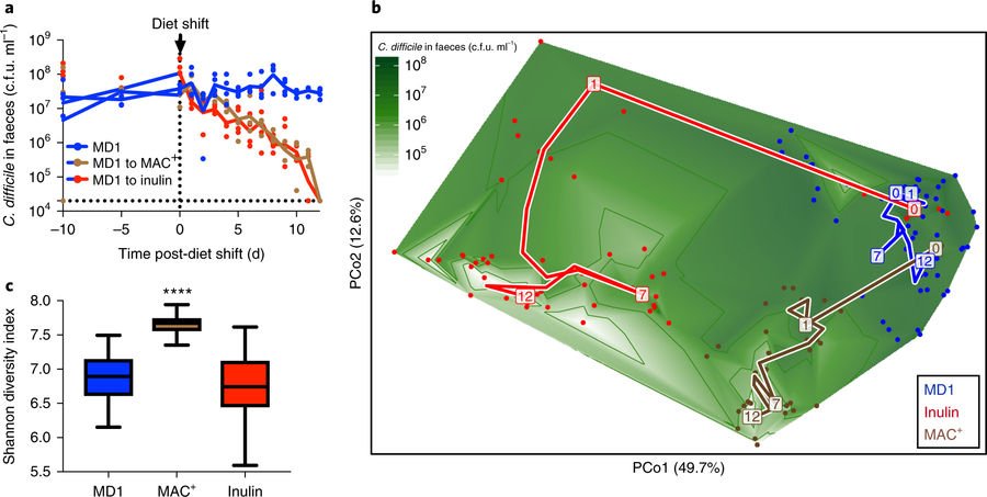 NatureMicrobiol's tweet image. Sonnenburg &amp;amp; co: A diet of #microbiota accessible carbohydrates (or inulin) suppresses #Clostridium #difficile infection: buff.ly/2qTpOBn