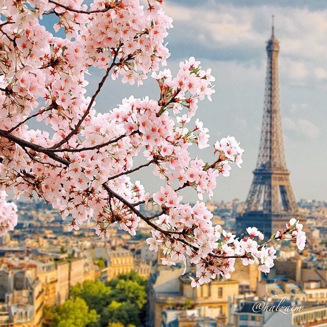 SkylineArch's tweet photo. We'll always have #Paris https://t.co/rzHqkxioGH
