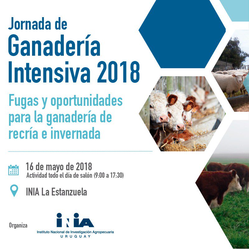 INIA_UY's tweet photo. En @INIA_UY La Estanzuela,  #invernada #ganadería  Inscripciones abiertas. Programa en https://t.co/ny0QEZ7BNu https://t.co/04caFoKEPU