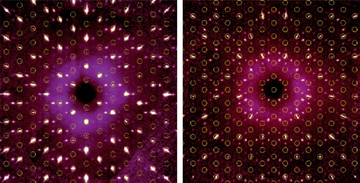 WilkeningLab's tweet photo. Microcontact #impedance #spectroscopy: Daniel Rettenwander managed to use microelectrodes to investigate bulk ion #dynamics in #NASICON solid electrolytes. A single Arrhenius line is observed, see paper in @ChemMater, https://t.co/mjj4J16ERz ! https://t.co/8Lj6qqBiXm