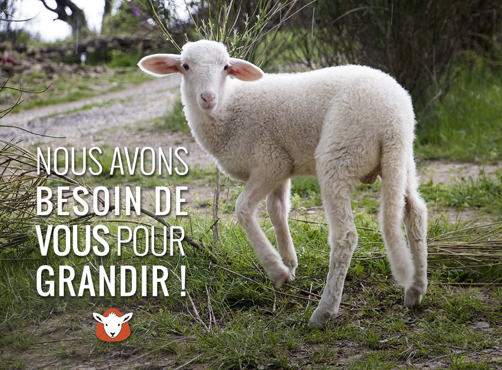 AltervitaAsso's tweet photo. Nous lançons notre campagne de crowdfunding : un peu plus de 60 jours pour rassembler 10 000€ et nous permettre d'agrandir et d'aménager le refuge pour accueillir 60 animaux. Nous avons besoin de votre soutien ! https://t.co/CsyiNA0GJc https://t.co/QaqQzQGPtr