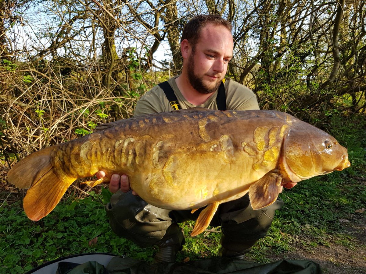 MainlineBaits's tweet photo. Steve Glidden with a early evening reservoir mirror caught using Essential Cell boilies! #MainlineBaits https://t.co/Ytoz2mEB3b