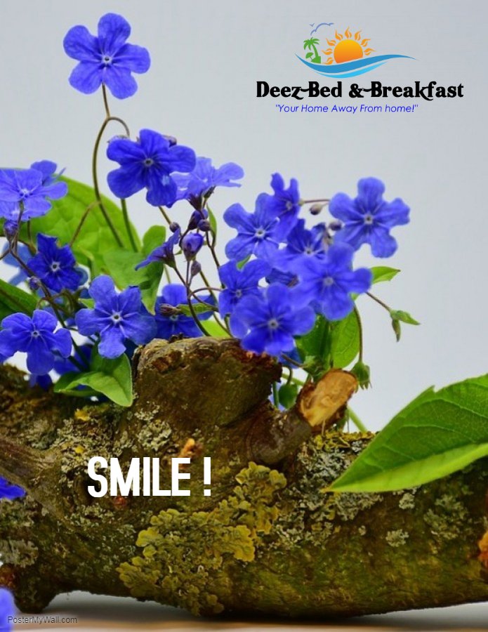 deezbnb's tweet photo. Good MORNING. Wishing you a fantastic week !
#booknow #deezbnb #wanderlust #lifeisawesome #visitja #novisarequiredja https://t.co/576JV8PEky