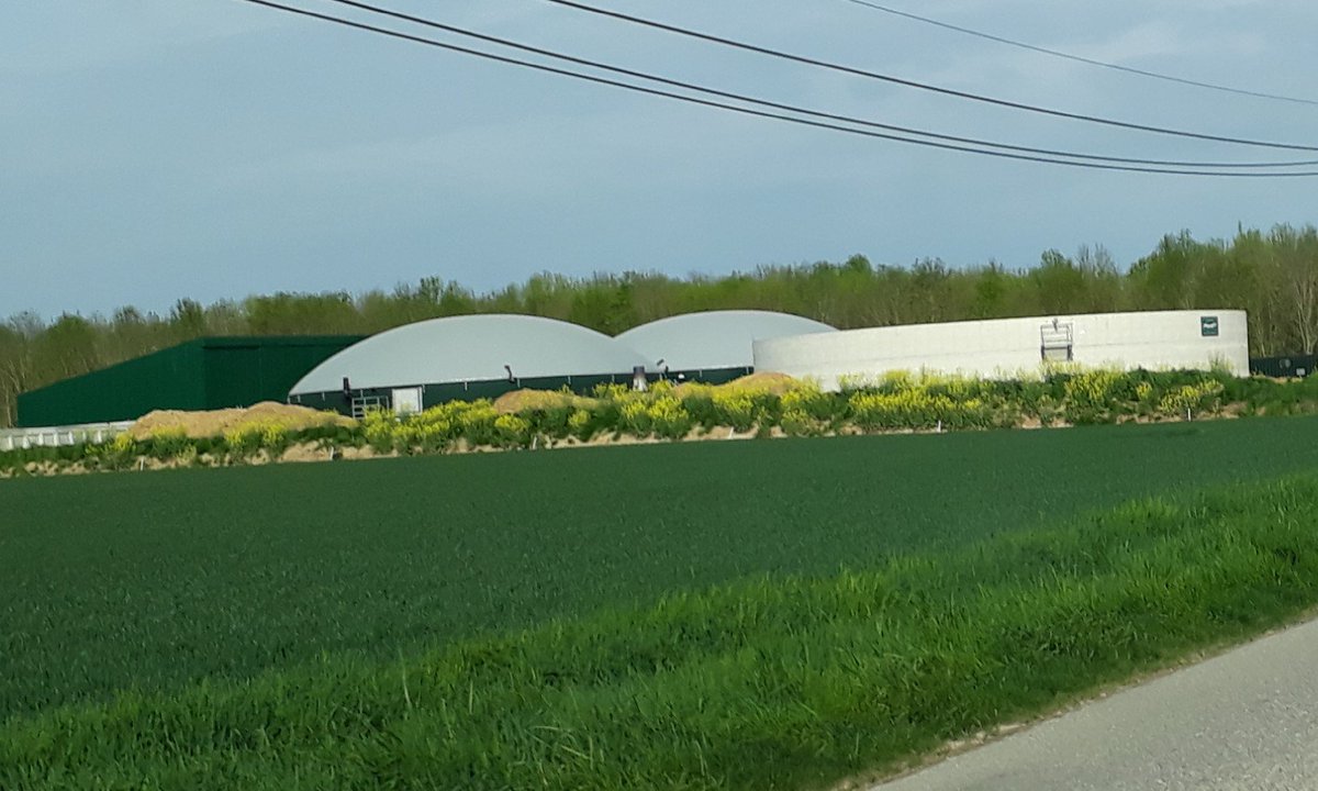 Sophie Wiatrack tweet media