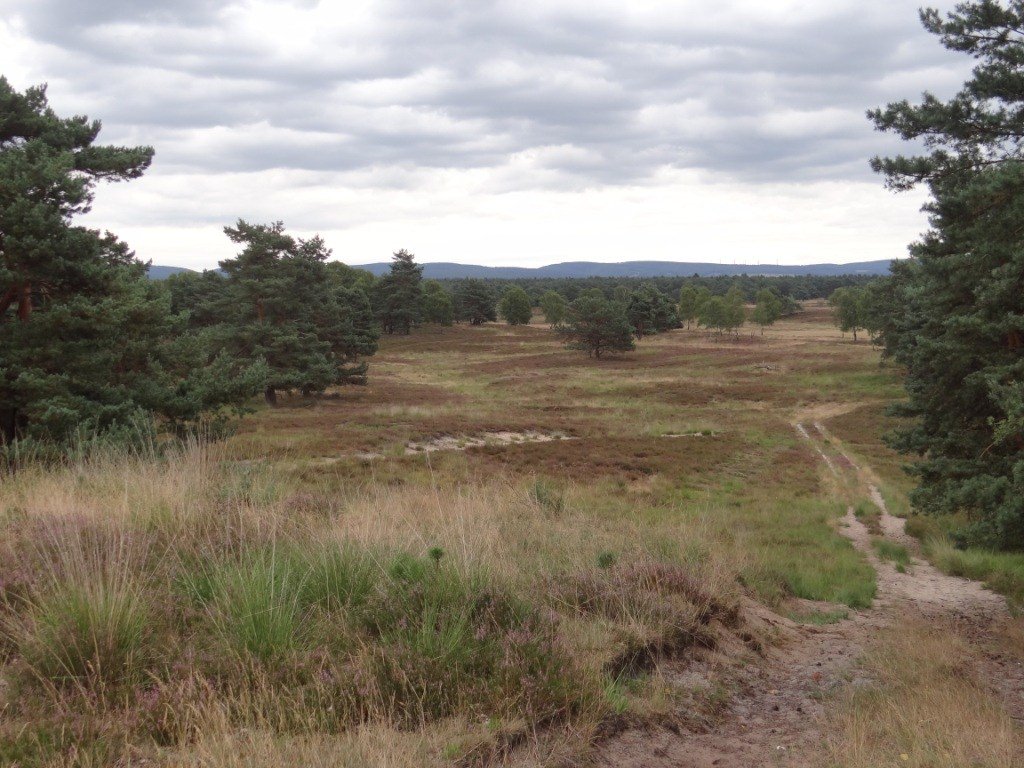 Zum Landesentwicklungsplan NRW – Kabinettsbeschluss vom 19.4.2018 np-senne.de/2018/04/23/zum…