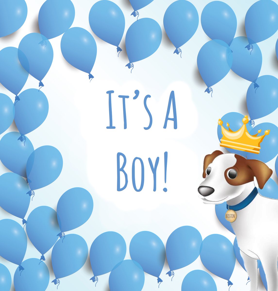 sleepboston's tweet photo. It's official, Wills and Kate have welcomed a baby boy! 👶💙What do you think his name will be? #royalbaby #royalbabywatch #royalbirth https://t.co/Hb5qs3qbiB