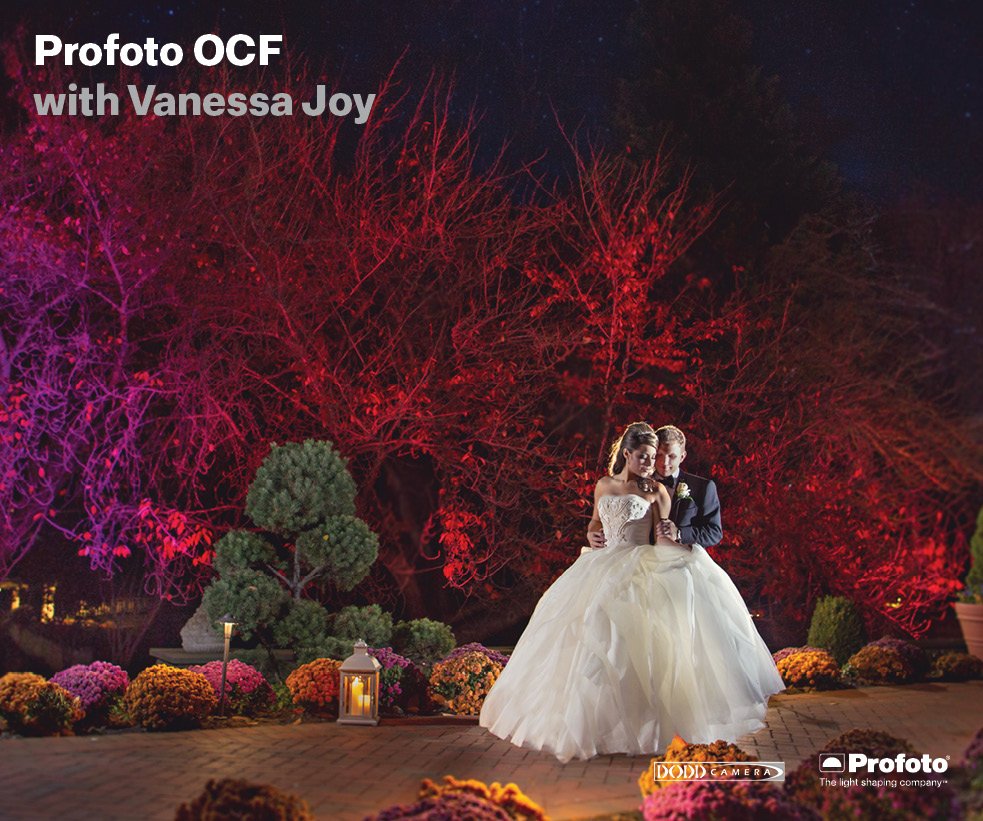 Dodd Camera tweet media