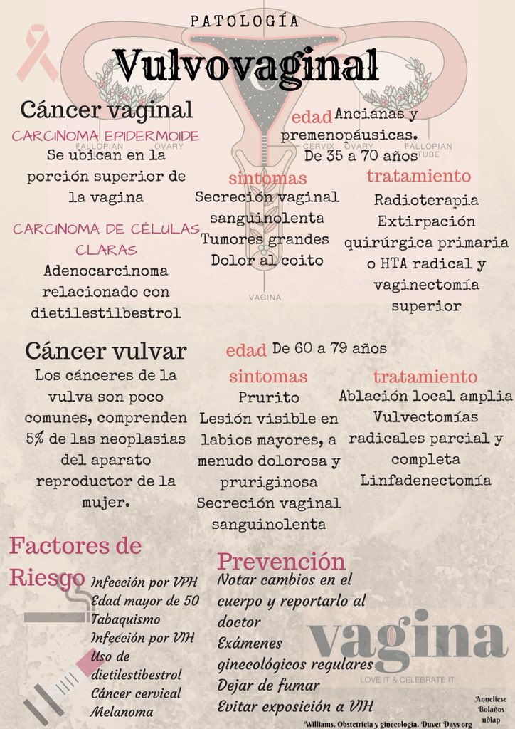 anneb_soto's tweet photo. Patología vulvovaginal #ginecologia  @abarcvs #simuvale https://t.co/bvD3wHh2xS