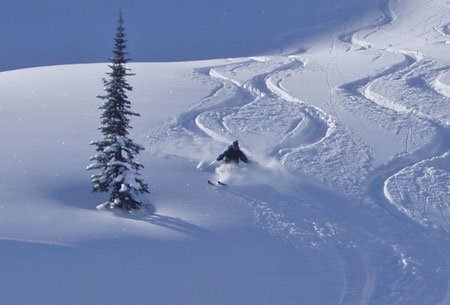 mafia_powder's tweet photo. Spring is starting to wrap up the season,...but a person can dream right? 💨💫💨💫 #powdermafiaforever #powdermafiausa [photo credit: Liftopia ] https://t.co/bDAuy8aAZc