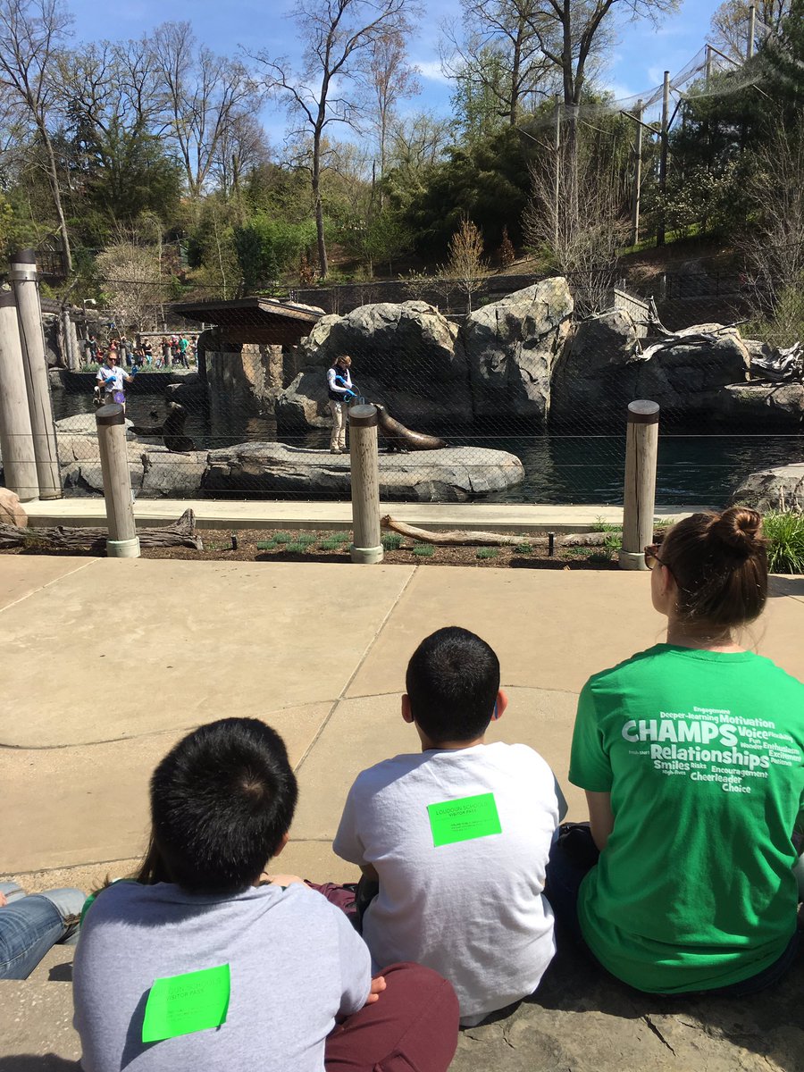 Sofia_Halapides's tweet photo. Watching the panda eat bamboo and the sea lion getting his teeth brushed!! @RRD_LCPS #Super2nd https://t.co/ktYDgriHLM