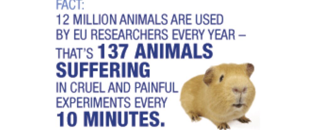 Against Animal Testing! (@testnomore) / Twitter Against Animal Testing! (@testnomore) / Twitter