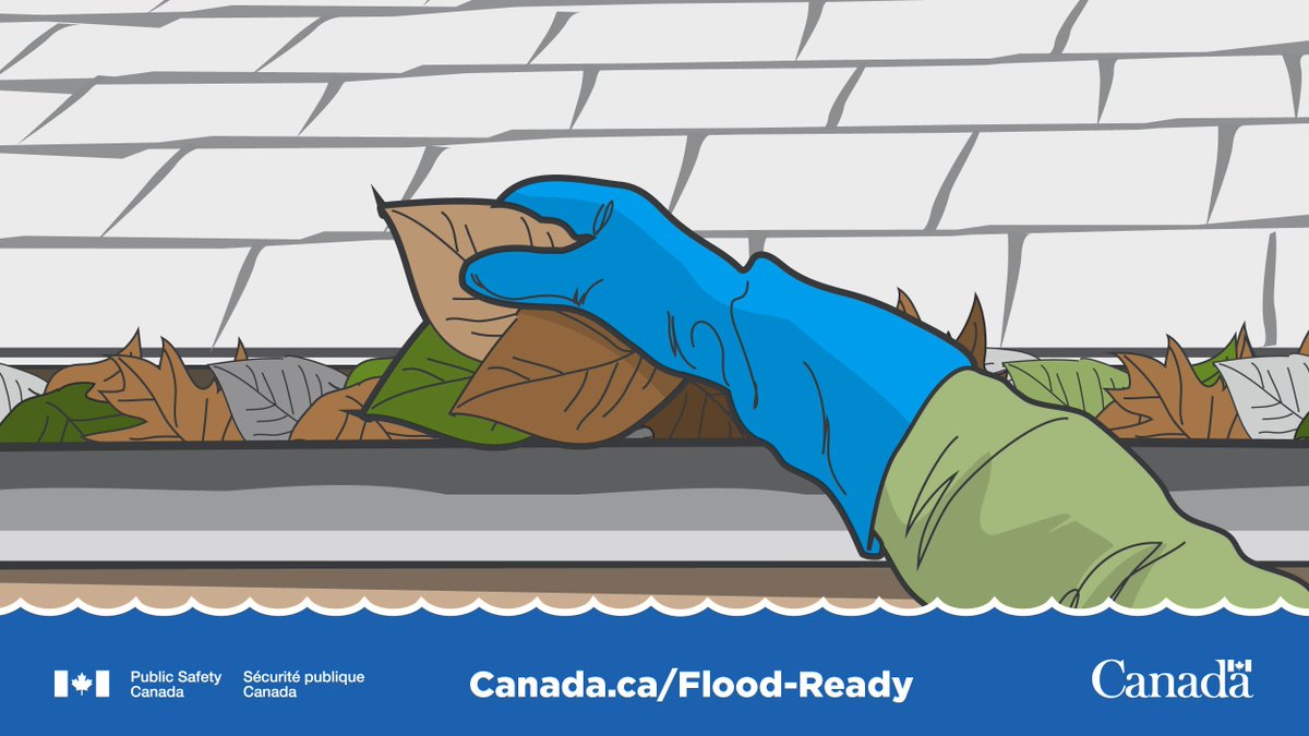 Debris that collects in window wells can allow water to pool and  seep into your basement. Clear debris from the wells to make your home #FloodReady.
canada.ca/en/campaign/fl…