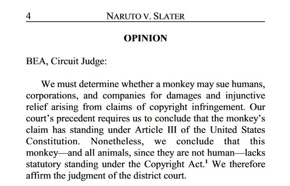 Bill__Donahue's tweet photo. WELP, here's a fun sentence to write: Ninth Circuit rules that a monkey can't sue for #copyright infringement: https://t.co/zkxdkNL5np