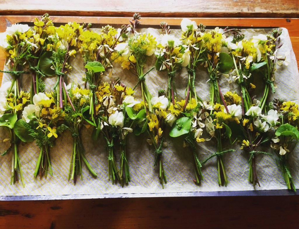 OldDairyKitchen's tweet photo. Green Again Feast this Saturday down on the Farm. Join us for some seriously, Springy deliciousness! Check the website for more details. Please spread the word good people. X  @DevonFoodHour @DevonLifeCath @atasteofdevon https://t.co/NNTZZAzssk