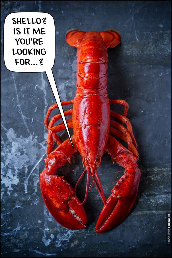 Over the next couple of weeks we are undergoing refurbishment and this week there is no access to our first floor. But don't worry, we are still serving our famous tasty #lobsters and deliciously moreish #cocktails for all your noshing and quaffing needs #letsgetmessy