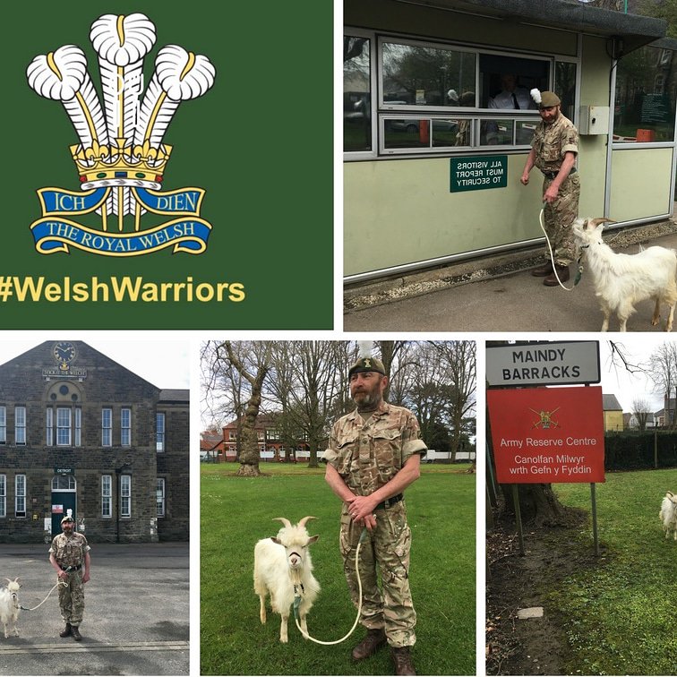 Let the training begin. Look out Llandudno on the 30th June for Armed Forces Day.
@Army_Wales 
<a href="/BritishArmy/">British Army 🇬🇧</a> 
<a href="/WelshWarriors/">Welsh Warriors</a> 
<a href="/Countrylifemag/">Country Life</a> 
<a href="/ArmySgtMajor/">British Army Sergeant Major Carney</a>