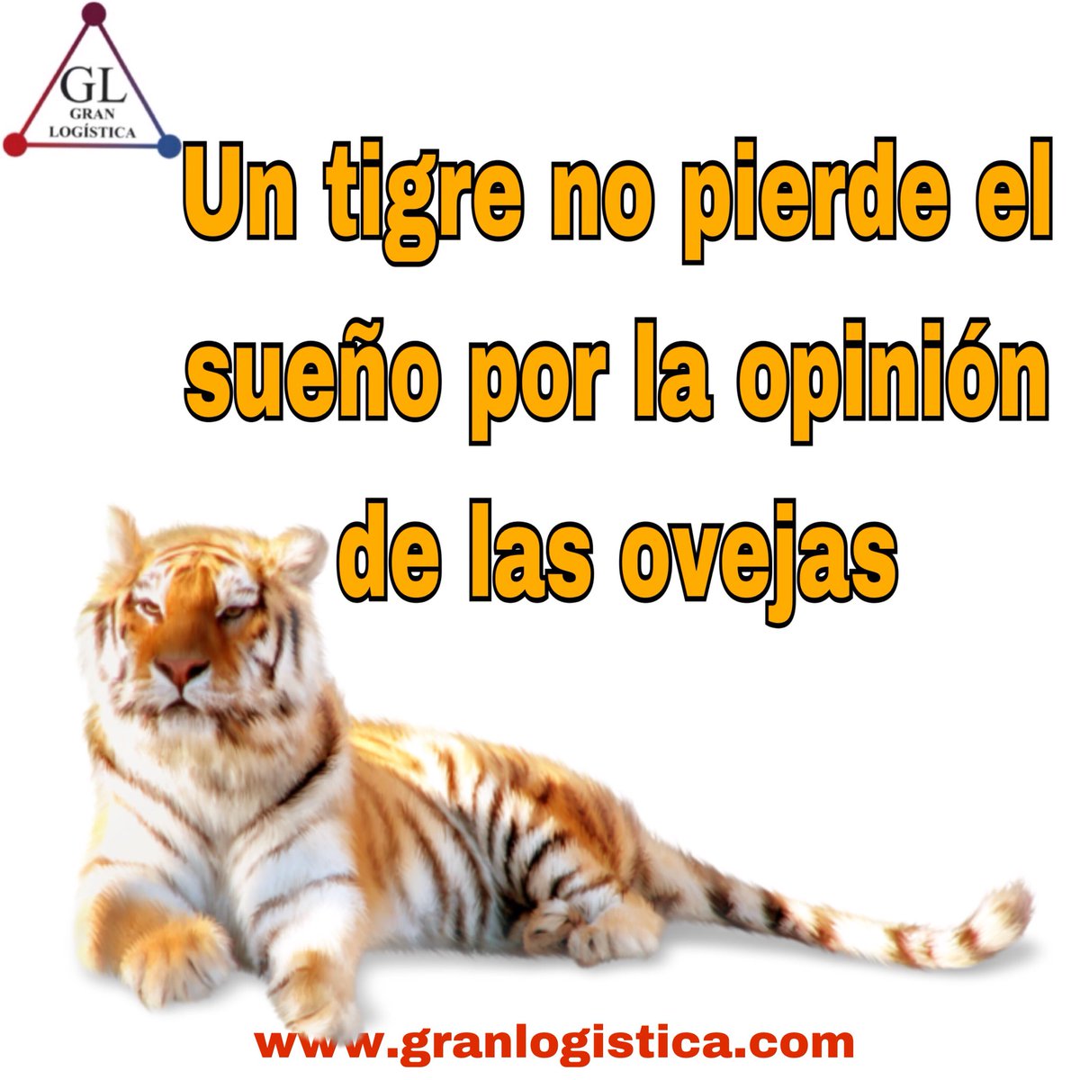 LogisticaGran's tweet photo. #Logistica #sistema #internacional #Trucking #Optimization #empresa #company #Transporte #tractor #remolque #empleado #Administration #quotes #frases #FraseDelDia #quoteoftheday #FrasesMatonas #frasesbonitas #lunes #FelizLunes https://t.co/eup18RYPca