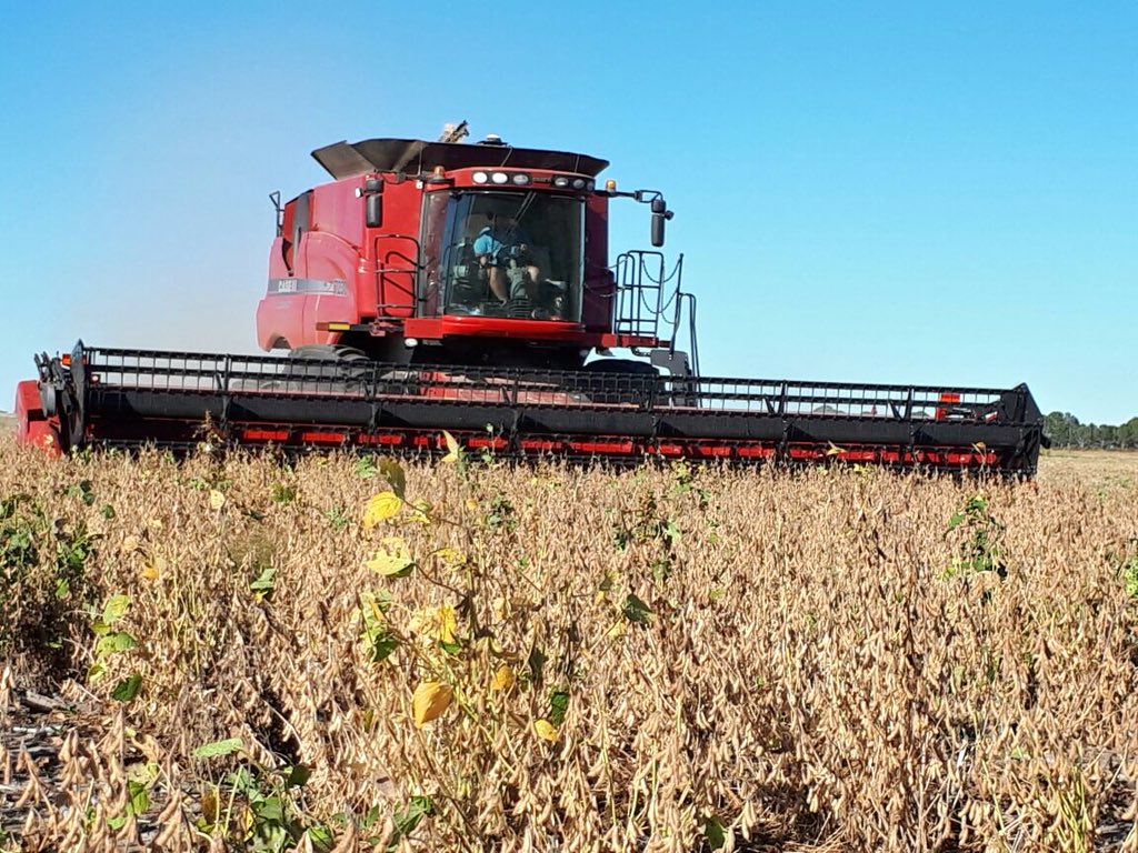 lhclaassen's tweet photo. #harvest2018 started at #lhcgroup farms. May every farmer in South Africa have a blessed #harvest time. Stay save and thank the Lord for the privilege to farm on the Land he gave us. https://t.co/uuUQHvJMhX